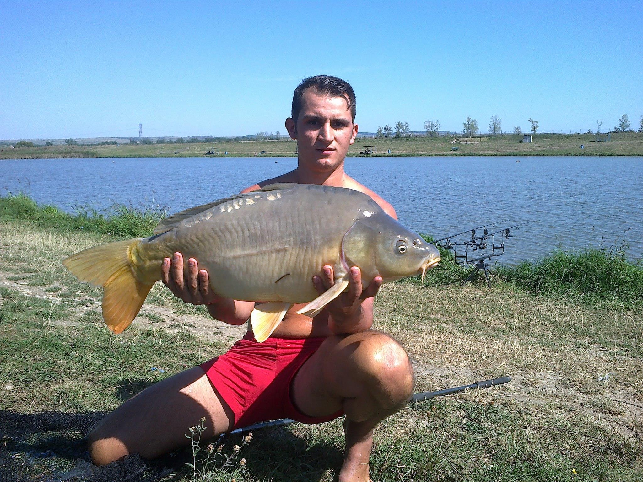 Sustra 2012 jud Timis - 277462_499184730110311_1629060790_o.jpg